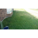 Green Survivor 10m2 Green Survivor 10m2