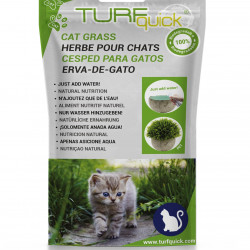 Kedi Çimi 10'lu Paket